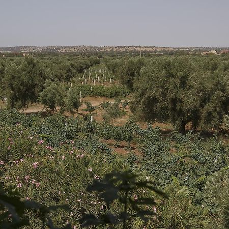 Ryad De Vignes " Le Val D'Argan " Ounara Exteriör bild