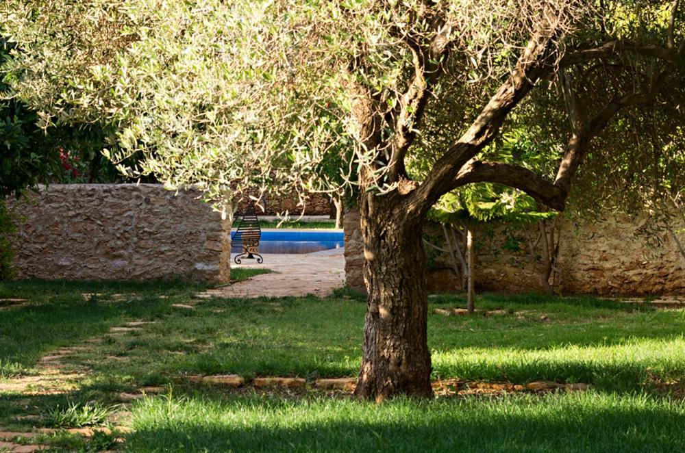 Ryad De Vignes " Le Val D'Argan " Ounara Exteriör bild