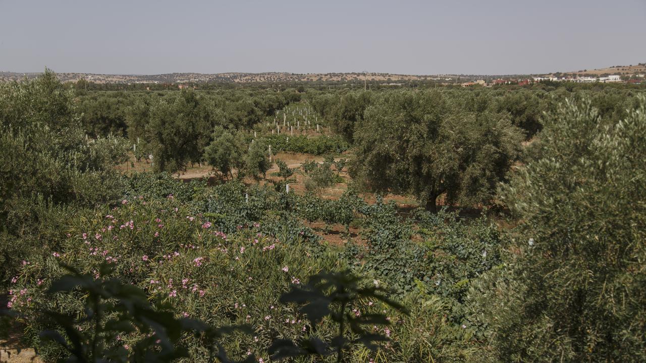 Ryad De Vignes " Le Val D'Argan " Ounara Exteriör bild